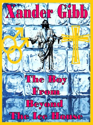 cover image of The Boy from beyond the Ice House
